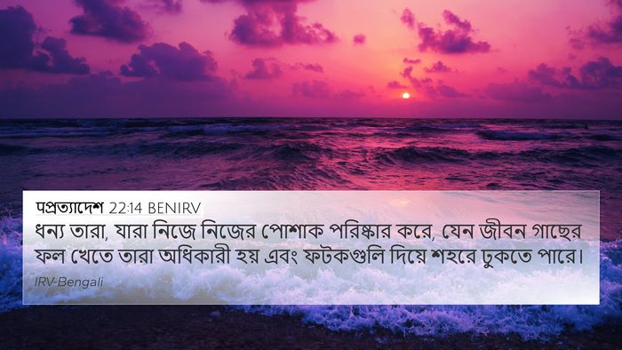 पপ্রত্যাদেশ 22:14 BENIRV Bible Verse Image