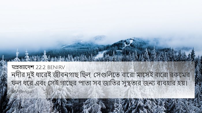 पপ্রত্যাদেশ 22:2 BENIRV Bible Verse Image