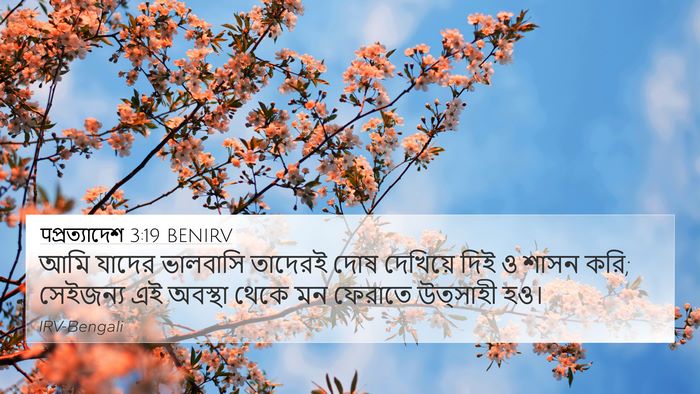 पপ্রত্যাদেশ 3:19 BENIRV Bible Verse Image