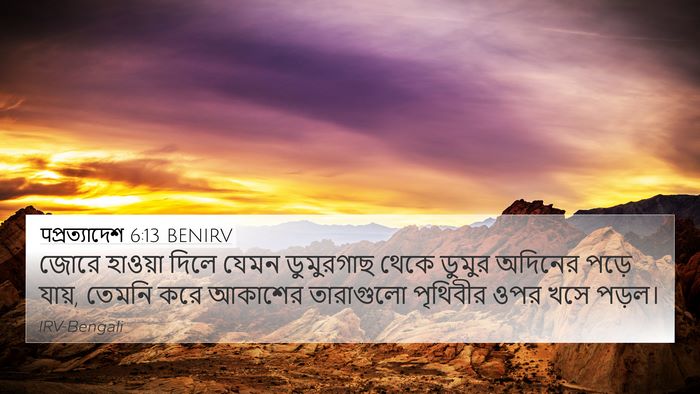 पপ্রত্যাদেশ 6:13 BENIRV Bible Verse Image