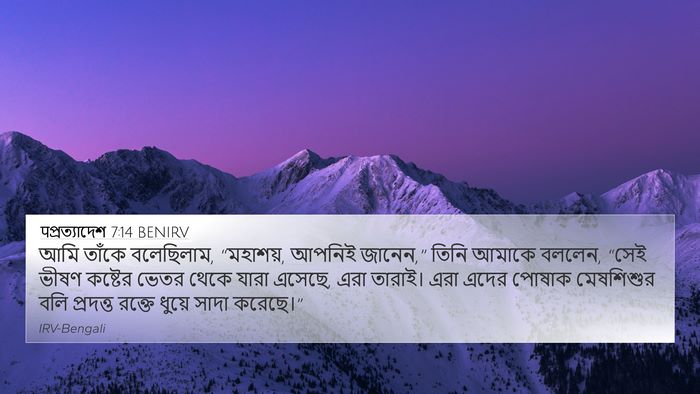 पপ্রত্যাদেশ 7:14 BENIRV Bible Verse Image