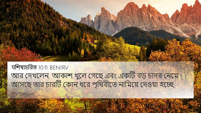 पশিষ্যচরিত 10:11 BENIRV Bible Verse Image