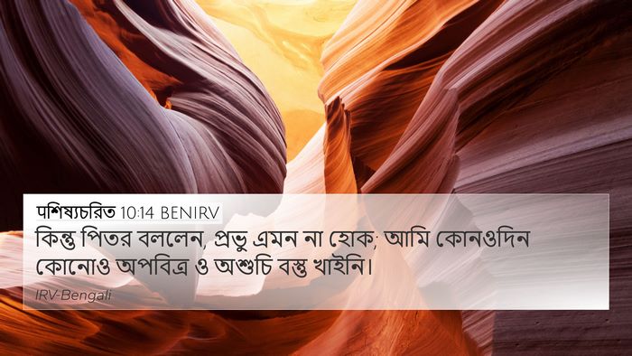 पশিষ্যচরিত 10:14 BENIRV Bible Verse Image