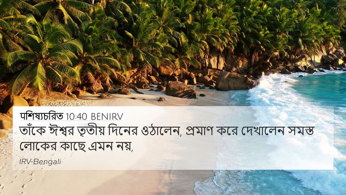 पশিষ্যচরিত 10:40 BENIRV Bible Verse Image