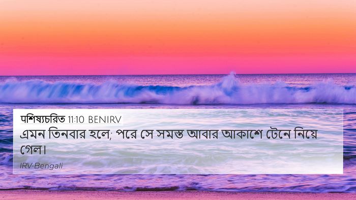 पশিষ্যচরিত 11:10 BENIRV 4K Wallpaper - এমন তিনবার হলে; পরে - 4K Wallpaper Bible Verse