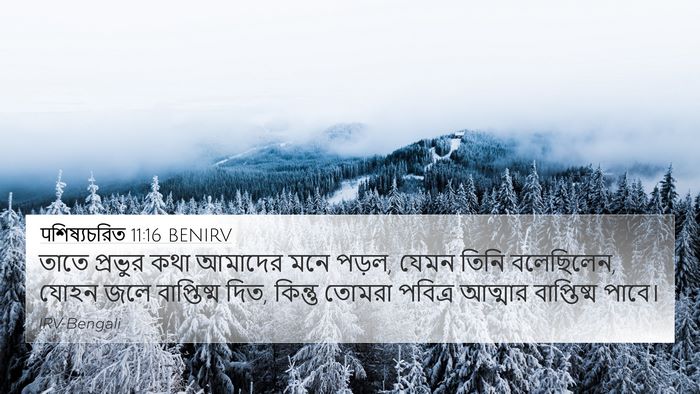 पশিষ্যচরিত 11:16 BENIRV Bible Verse Image