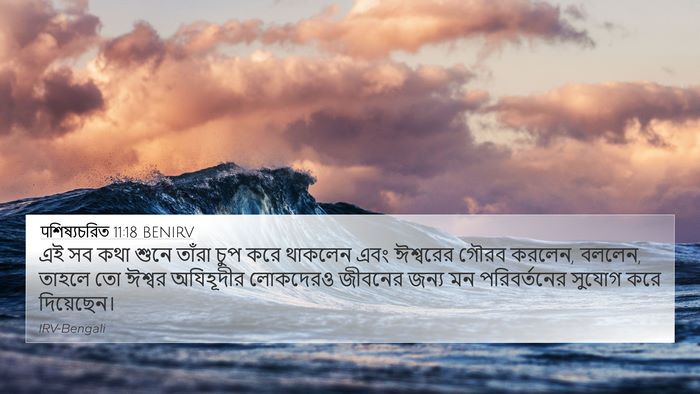 पশিষ্যচরিত 11:18 BENIRV Bible Verse Image