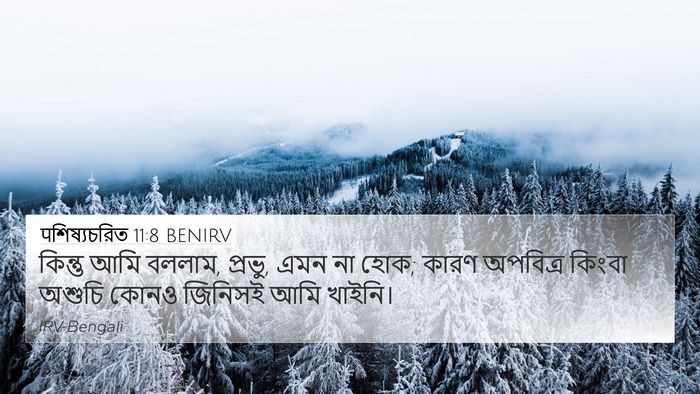 पশিষ্যচরিত 11:8 BENIRV Bible Verse Image