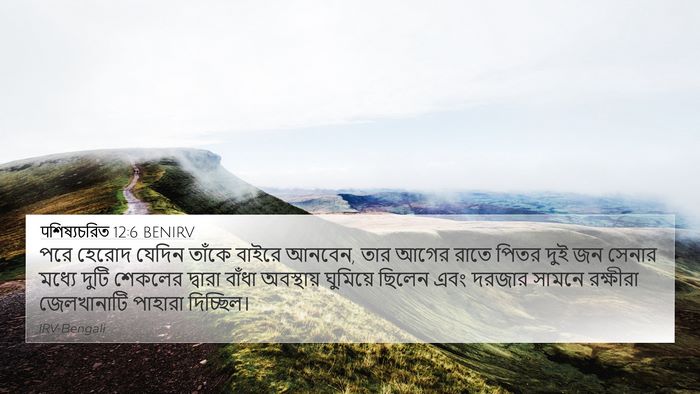 पশিষ্যচরিত 12:6 BENIRV Bible Verse Image