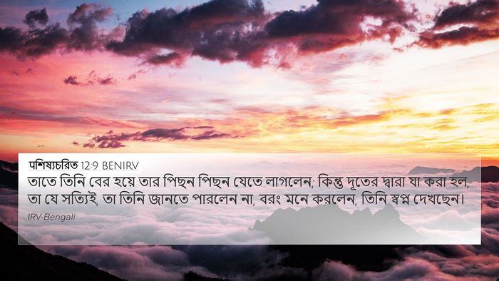 पশিষ্যচরিত 12:9 BENIRV Bible Verse Image