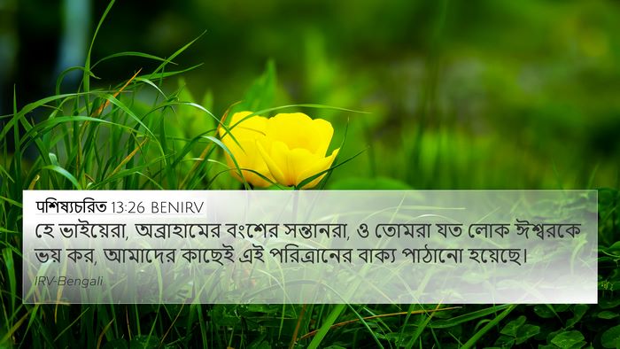 पশিষ্যচরিত 13:26 BENIRV Bible Verse Image