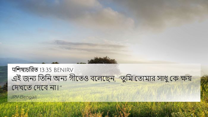 पশিষ্যচরিত 13:35 BENIRV Bible Verse Image