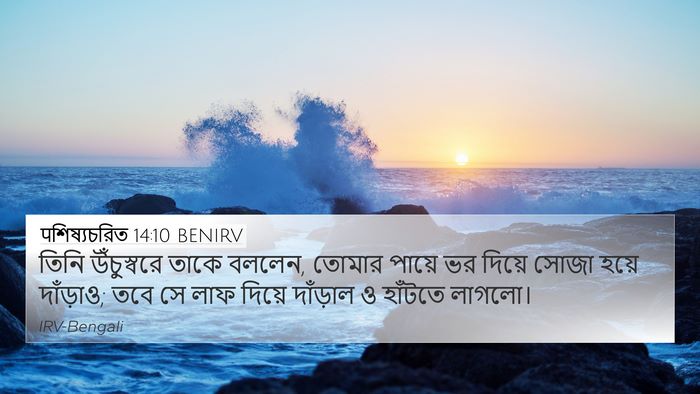 पশিষ্যচরিত 14:10 BENIRV Bible Verse Image