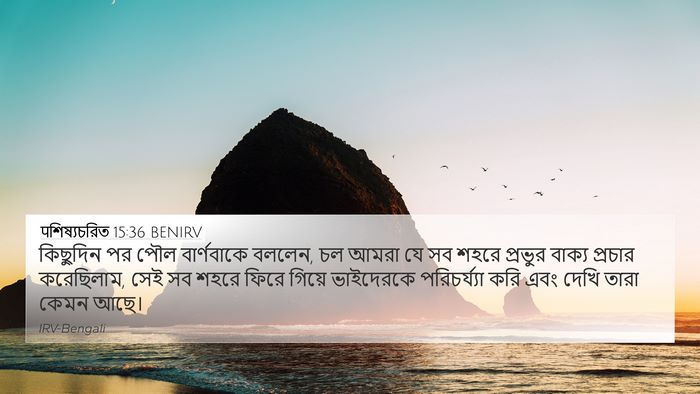 पশিষ্যচরিত 15:36 BENIRV Bible Verse Image