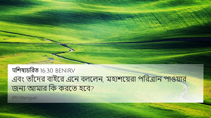 पশিষ্যচরিত 16:30 BENIRV Bible Verse Image