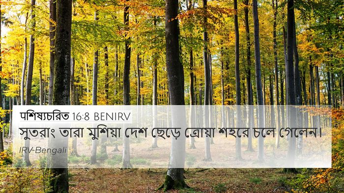 पশিষ্যচরিত 16:8 BENIRV Bible Verse Image