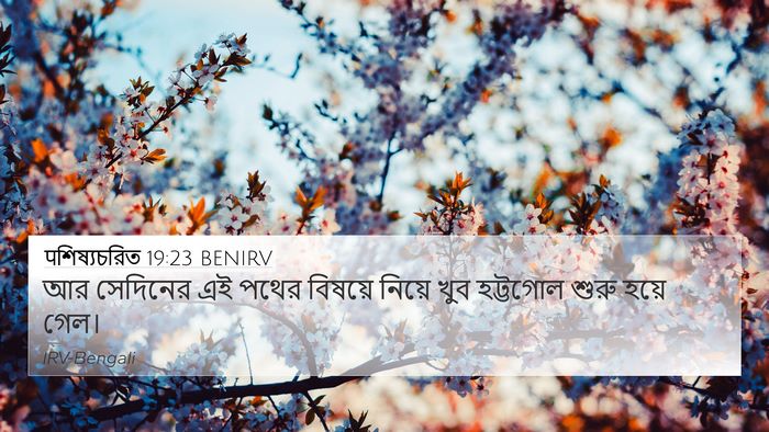 पশিষ্যচরিত 19:23 BENIRV Bible Verse Image