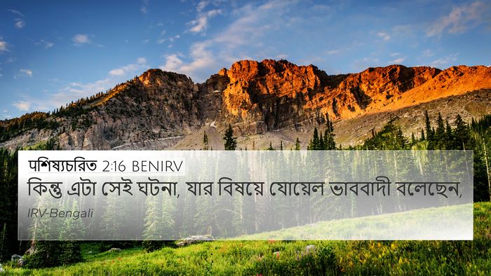 पশিষ্যচরিত 2:16 BENIRV Bible Verse Image