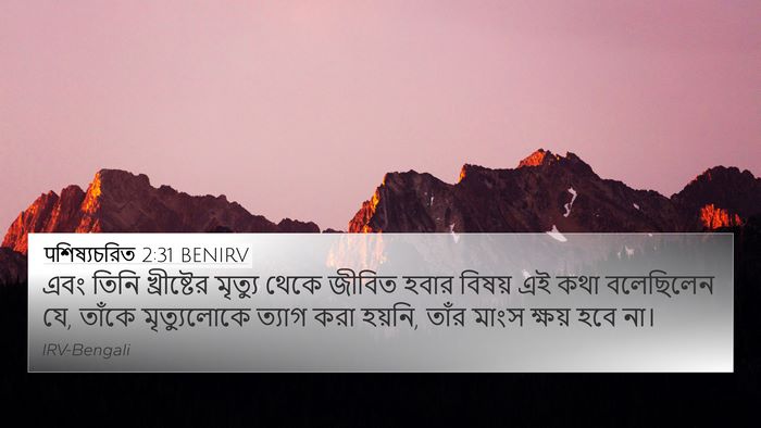 पশিষ্যচরিত 2:31 BENIRV Bible Verse Image