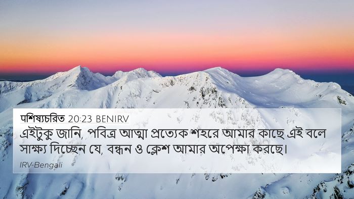 पশিষ্যচরিত 20:23 BENIRV Bible Verse Image