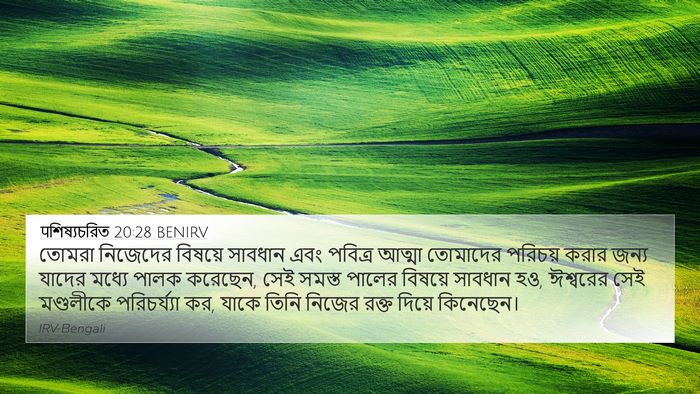 पশিষ্যচরিত 20:28 BENIRV Bible Verse Image