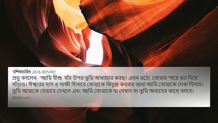 पশিষ্যচরিত 26:16 BENIRV Bible Verse Image