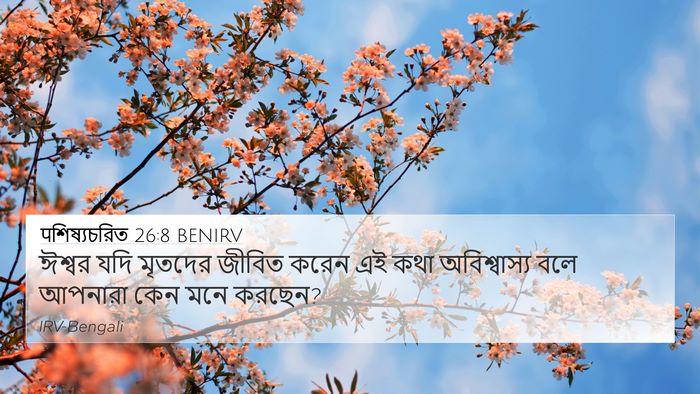 पশিষ্যচরিত 26:8 BENIRV Bible Verse Image