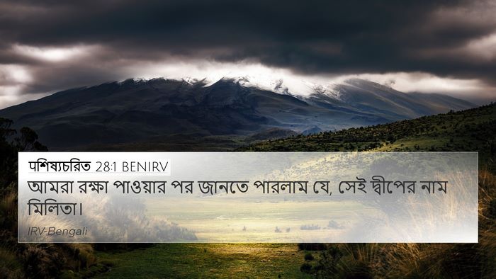 पশিষ্যচরিত 28:1 BENIRV Bible Verse Image