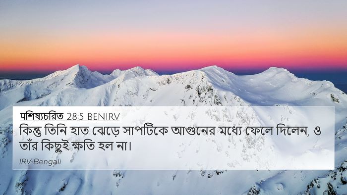 पশিষ্যচরিত 28:5 BENIRV Bible Verse Image