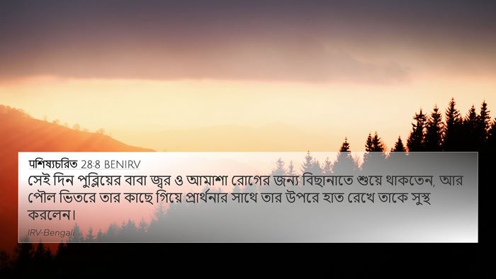 पশিষ্যচরিত 28:8 BENIRV Bible Verse Image