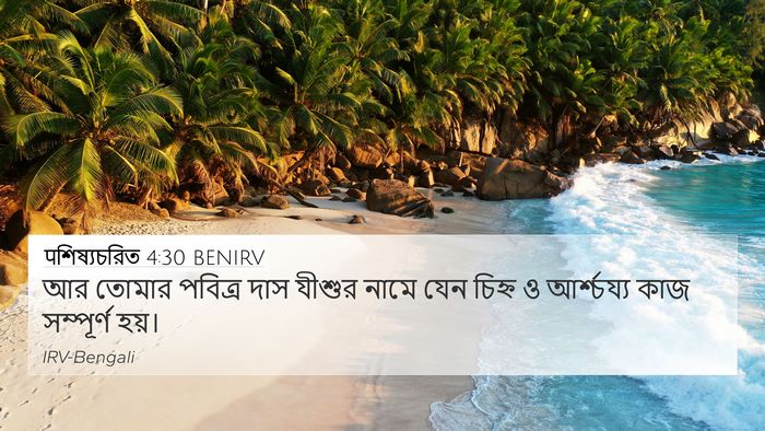 पশিষ্যচরিত 4:30 BENIRV Bible Verse Image