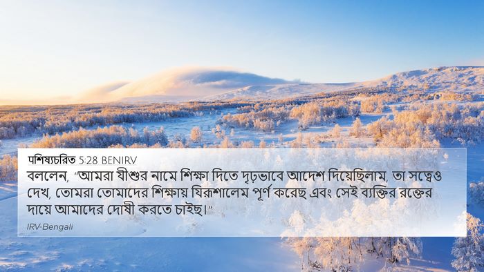 पশিষ্যচরিত 5:28 BENIRV Bible Verse Image