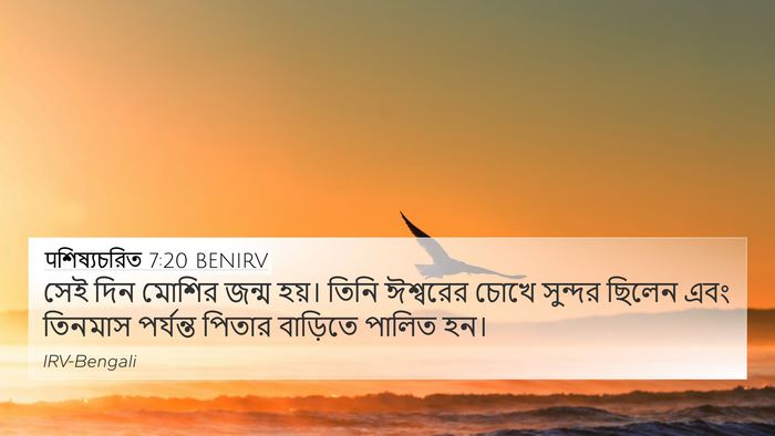 पশিষ্যচরিত 7:20 BENIRV Bible Verse Image