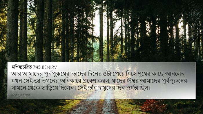 पশিষ্যচরিত 7:45 BENIRV Bible Verse Image