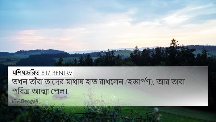 पশিষ্যচরিত 8:17 BENIRV Bible Verse Image