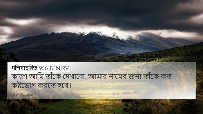 पশিষ্যচরিত 9:16 BENIRV Bible Verse Image
