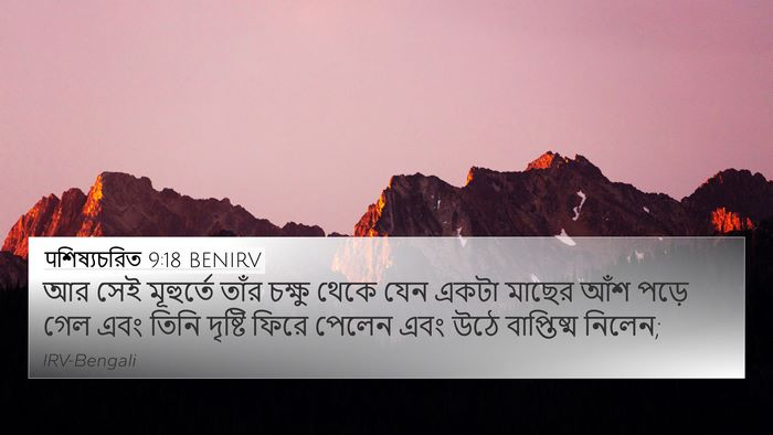 पশিষ্যচরিত 9:18 BENIRV Bible Verse Image