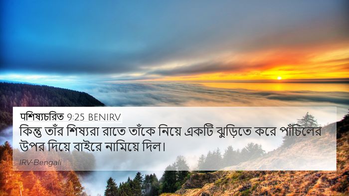पশিষ্যচরিত 9:25 BENIRV Bible Verse Image