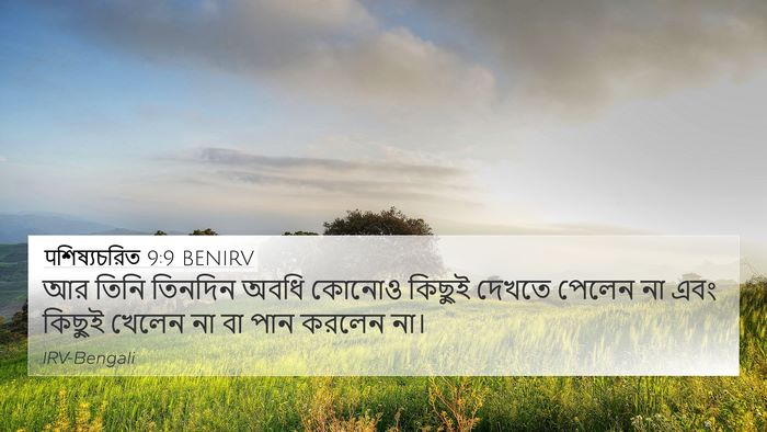 पশিষ্যচরিত 9:9 BENIRV Bible Verse Image