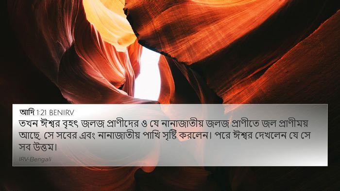 আদি 1:21 BENIRV 4K Wallpaper - তখন ঈশ্বর বৃহৎ জলজ - 4K Wallpaper Bible Verse