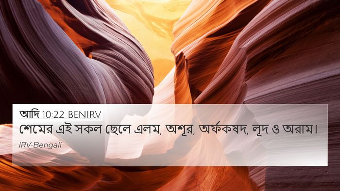 আদি 10:22 BENIRV Bible Verse Image