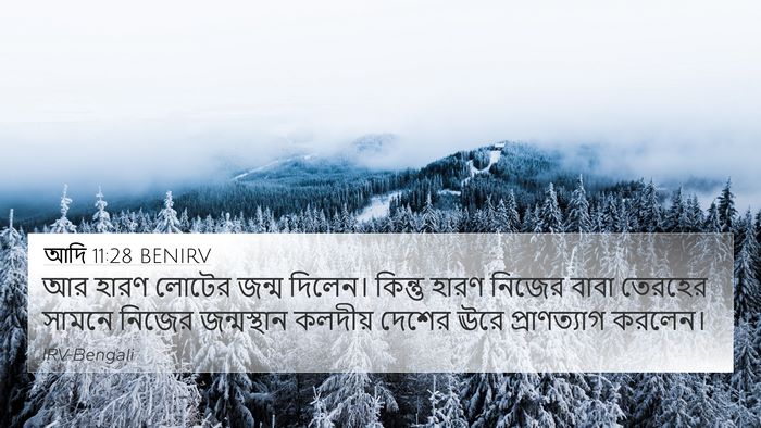আদি 11:28 BENIRV Bible Verse Image