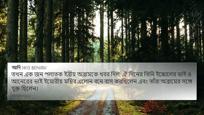 আদি 14:13 BENIRV Bible Verse Image