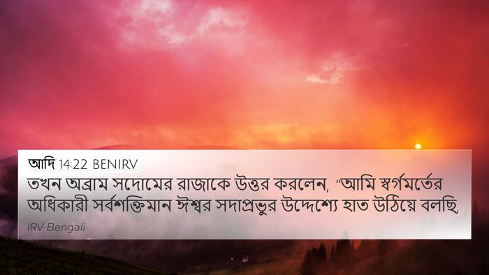 আদি 14:22 BENIRV Bible Verse Image