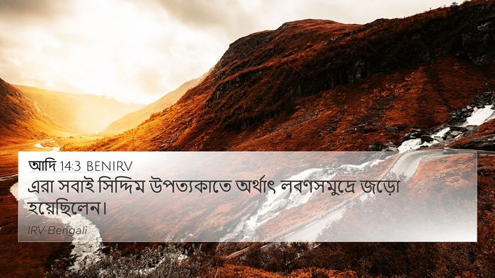 আদি 14:3 BENIRV Bible Verse Image