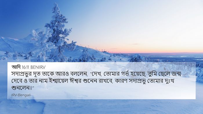 আদি 16:11 BENIRV Bible Verse Image