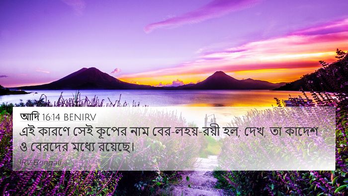 আদি 16:14 BENIRV Bible Verse Image