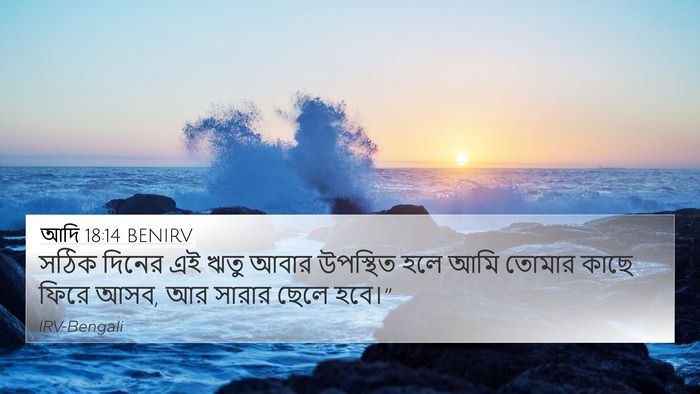 আদি 18:14 BENIRV Bible Verse Image