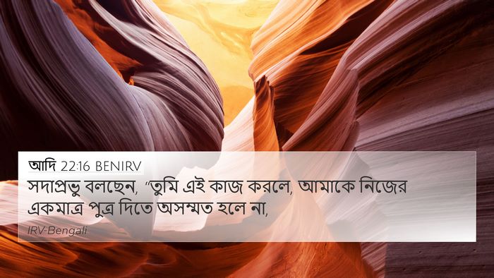 আদি 22:16 BENIRV Bible Verse Image