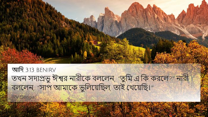 আদি 3:13 BENIRV Bible Verse Image